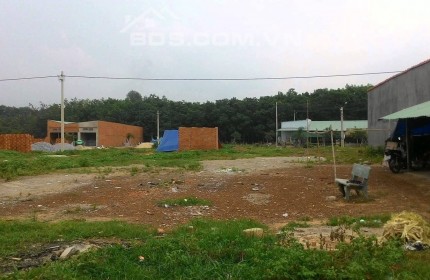 TÔI CÓ MÃNH VƯỜN 2000M2 DO LÀM ĂN THUA LỖ NÊN TUÔI MUỐN SANG LẠI VƯỜN ĐÓ GIÁ 290TRIỆU